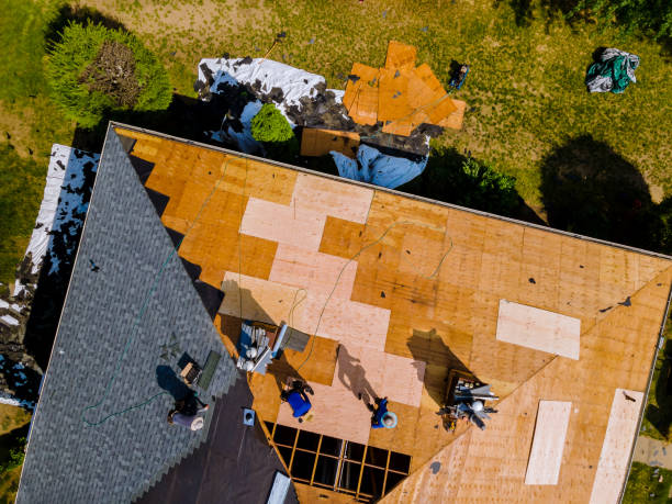 Quick and Trustworthy Emergency Roof Repair Services in Citrus City, TX