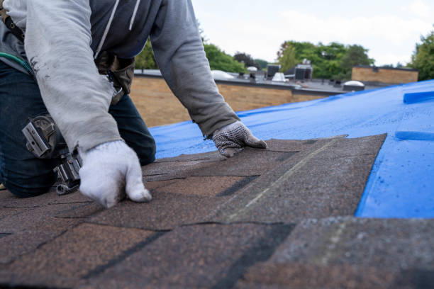 Quick and Trustworthy Emergency Roof Repair Services in Citrus City, TX